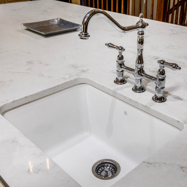 Birch Lane Lester 31" L x 20" W Undermount Kitchen Sink & Reviews